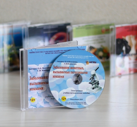 �������� ����������� �������