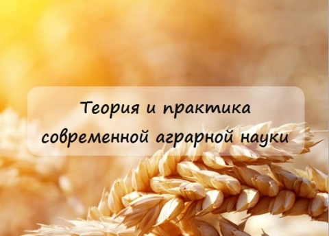 ����� ������� II ������������ (�������������) ������� ����������� ������ � �������� ����������� �������� �����