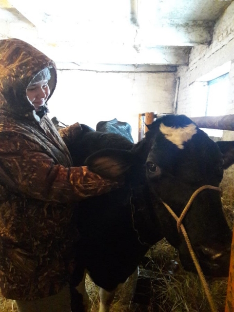 Учебная практика УП 01.02. Эпизоотология.