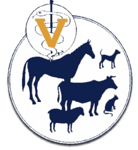 ������� �������� ��. 01.02 �������������