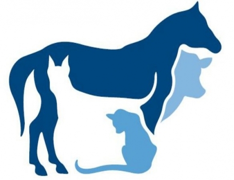 Учебная практика УП 01.02 Эпизоотология (гр. 6367)