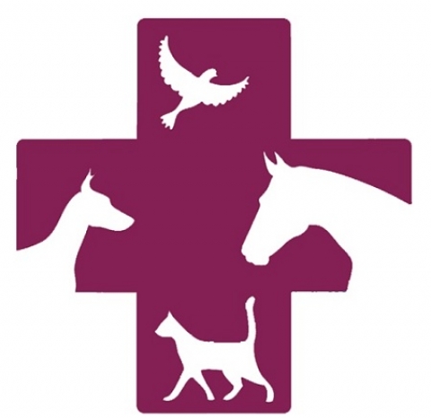 ����������� �� ������������ ��������