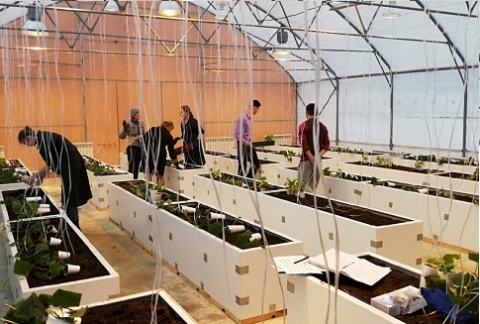 ������������� ��� ������ ��������� ������������� �������� ����������� ������ � �������� ������