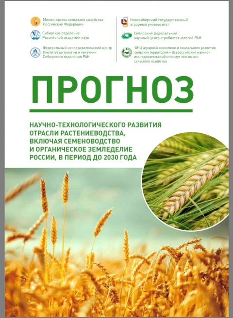 ���������� �������  ������-���������������� �������� ������� ���������������,  ������� ������������� � ������������ ����������