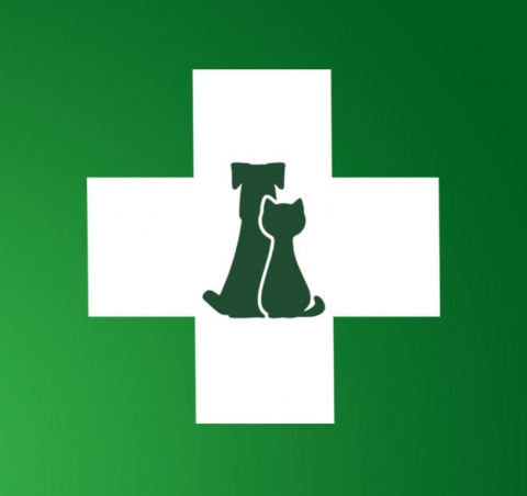 ����� ��������� ������������ �� ����: ������������� ���������