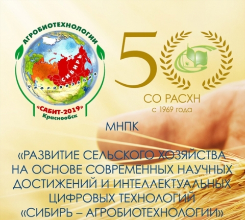 ������������� ������-������������ �����������