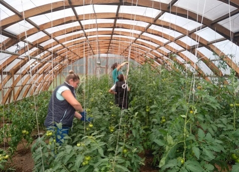 ���������� �������������� ��� ������������ �� ��������