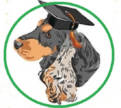 ���������������� �������