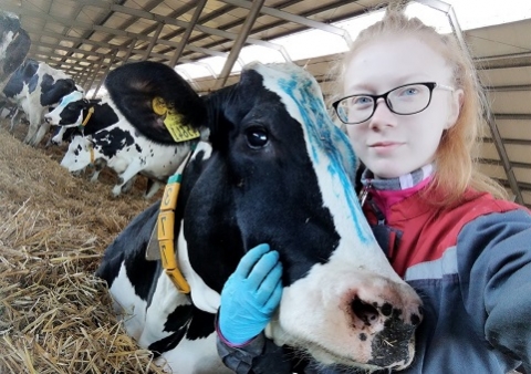 ������������� ��� ��������� �������� �������� � �������������� � �������� �����������