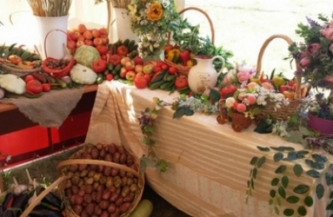 ���������� �������������� ��� ����� ������������ �� ��� ���� ������������� ������� 2019