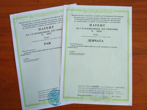 �������� ������� ������ �������