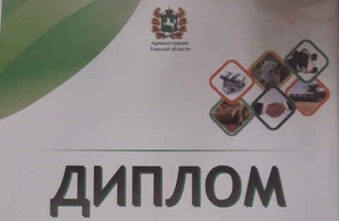 ������ ��������� ������ � ������������ ������-���������������� ��������� ��� ������� �������