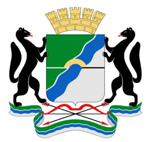 Премии и гранты мэрии города Новосибирска