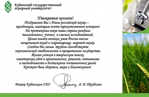 ���� ���������� �����