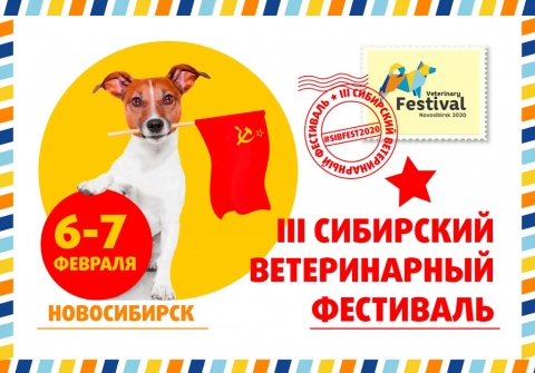 III ���������  ������������ ���������