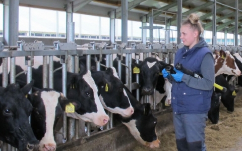 ������� ����������� ���� � ������������ ���������