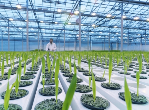 Магистерская программа «Биотехнология»