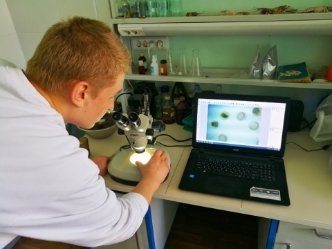 В Новосибирском ГАУ продолжается научно-исследовательская работа и практика студентов