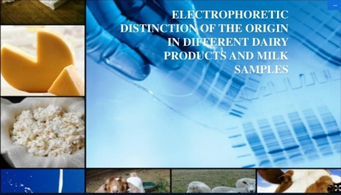 ������ �������� ���������������� ���������� �������������� ��� � ������������� ��. ������� � �������