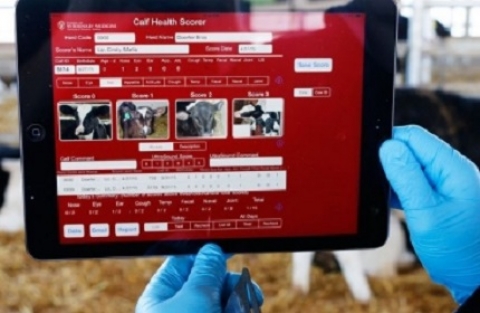 «AGROTECH 4.0» в магистерских программах Биолого-технологического факультета Новосибирского ГАУ