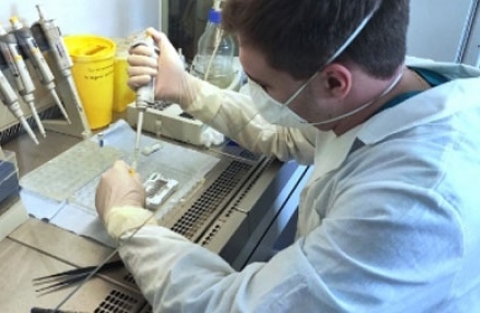 «AGROTECH 4.0» в магистерских программах Биолого-технологического факультета Новосибирского ГАУ