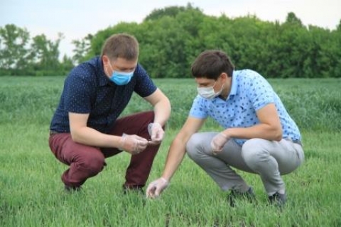 В Новосибирском ГАУ завершаются весенне-полевые работы