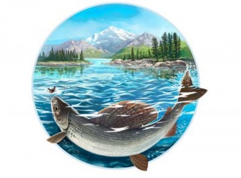 «AGROTECH 4.0» в магистерских программах Биолого-технологического факультета Новосибирского ГАУ