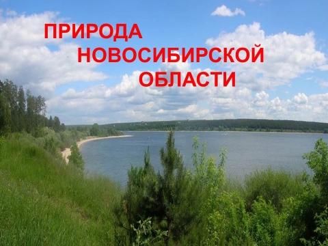 ����� ������������ �������� ������������� �������