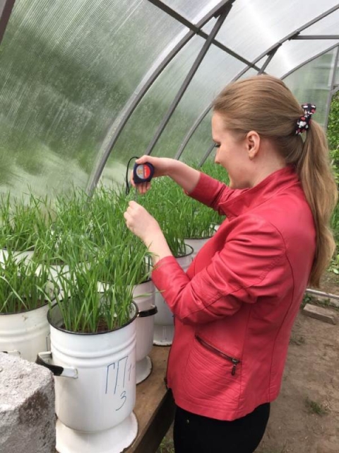 Работа студенческих научных кружков на агрономическом факультете Новосибирского ГАУ