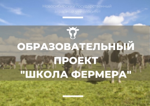 �� ���� �������������� ��� ����������� ������ �������