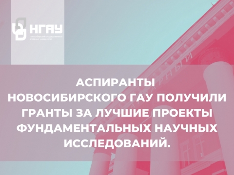 Аспиранты Новосибирского ГАУ получили гранты за лучшие проекты фундаментальных научных исследований