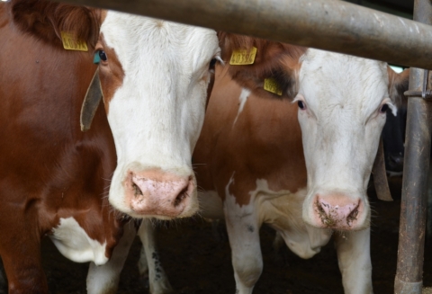 ��������� ���� �� �������������� ����������