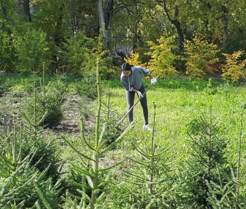 Профессиональный праздник работников лесного хозяйства