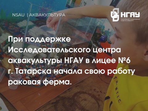 ИЦА Новосибирского ГАУ подарил школьникам раковую ферму