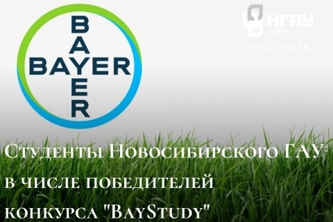 Студенты Новосибирского ГАУ в числе победителей конкурса «BayStudy»