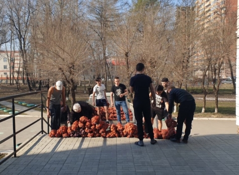 �������� ����������������� ������ ���������, ������� � ����������.