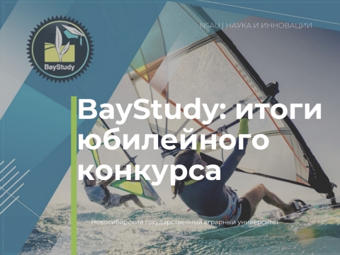 BayStudy: итоги юбилейного конкурса