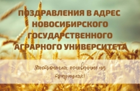 ������������ � 85-������ � ����� �������������� ���