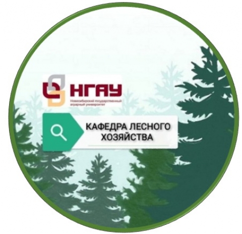 Мероприятия кафедры лесного хозяйства в уходящем году