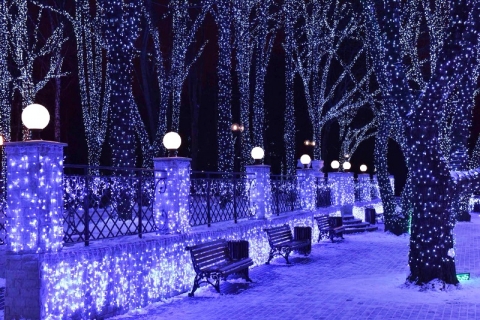 ���� ���������� � ������� � ������������ �Losev Light�