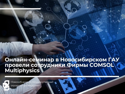 ������-������� � ������������� ��� ������� ���������� ����� COMSOL Multiphysics