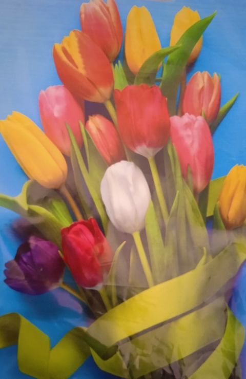 Милые женщины! Поздравляем вас с наступающим Международным женским днем- 8 марта!