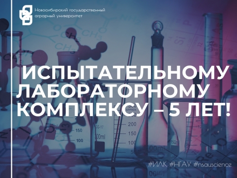 �������������� ������������� ��������� � 5 ���!