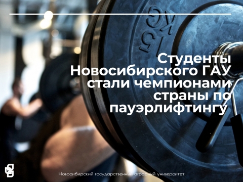 Студенты Новосибирского ГАУ стали чемпионами страны по пауэрлифтингу
