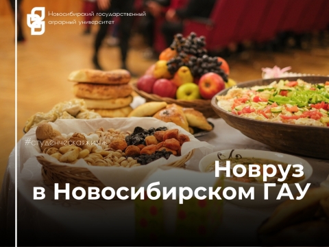 ������������ ������� ���������� � ������������� ���