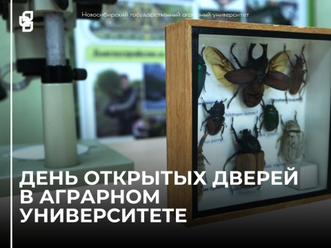 ���� �������� ������ � ������������� ���