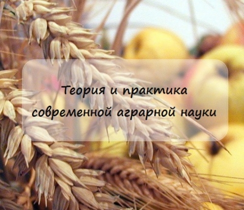 ������� IV ������������ (�������������) ������� ����������� ������� � �������� ����������� �������� �����