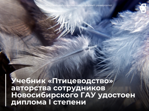 ����� IX �������� ��������� ������� ����� - 2020�