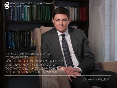 ���� ������: ���������� ����� ����