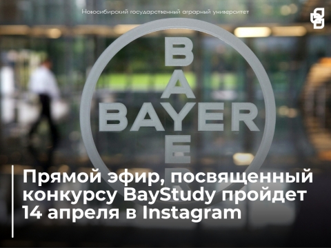 ������ ����, ����������� �������� BayStudy ������� 14 ������ � Instagram
